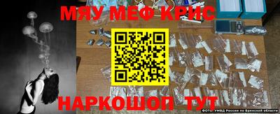 молекула духа Будённовск