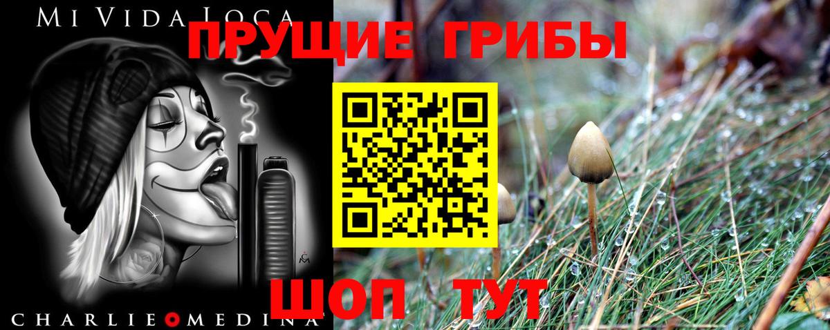 Галлюциногенные грибы мицелий Северск